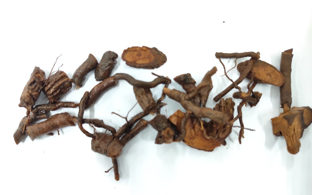 Cấp cứu thành công bệnh nhân ngộ độc lá ngón nguy kịch
- Ảnh 2.