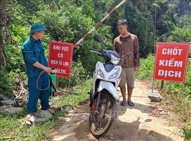 Hà Giang khẩn trương khống chế dịch tả lợn châu Phi- Ảnh 2.