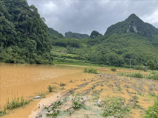 Mưa to gây ngập úng cục bộ, sạt lở đất ở Cao Bằng- Ảnh 3.