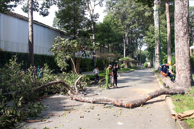 Chi trả toàn bộ chi phí điều trị, hỗ trợ tang lễ cho gia đình các nạn nhân- Ảnh 1.