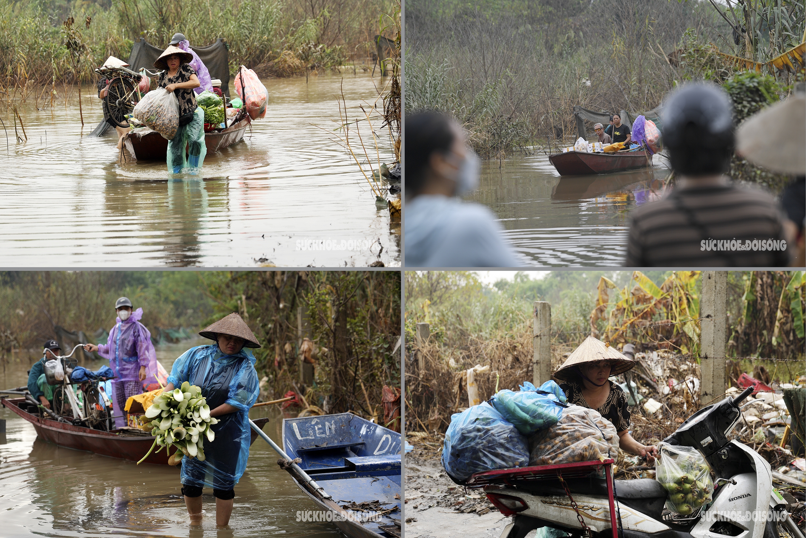 Nước sông Hồng dâng cao, người dân bãi giữa chèo thuyền đi học, đi làm  - Ảnh 5.