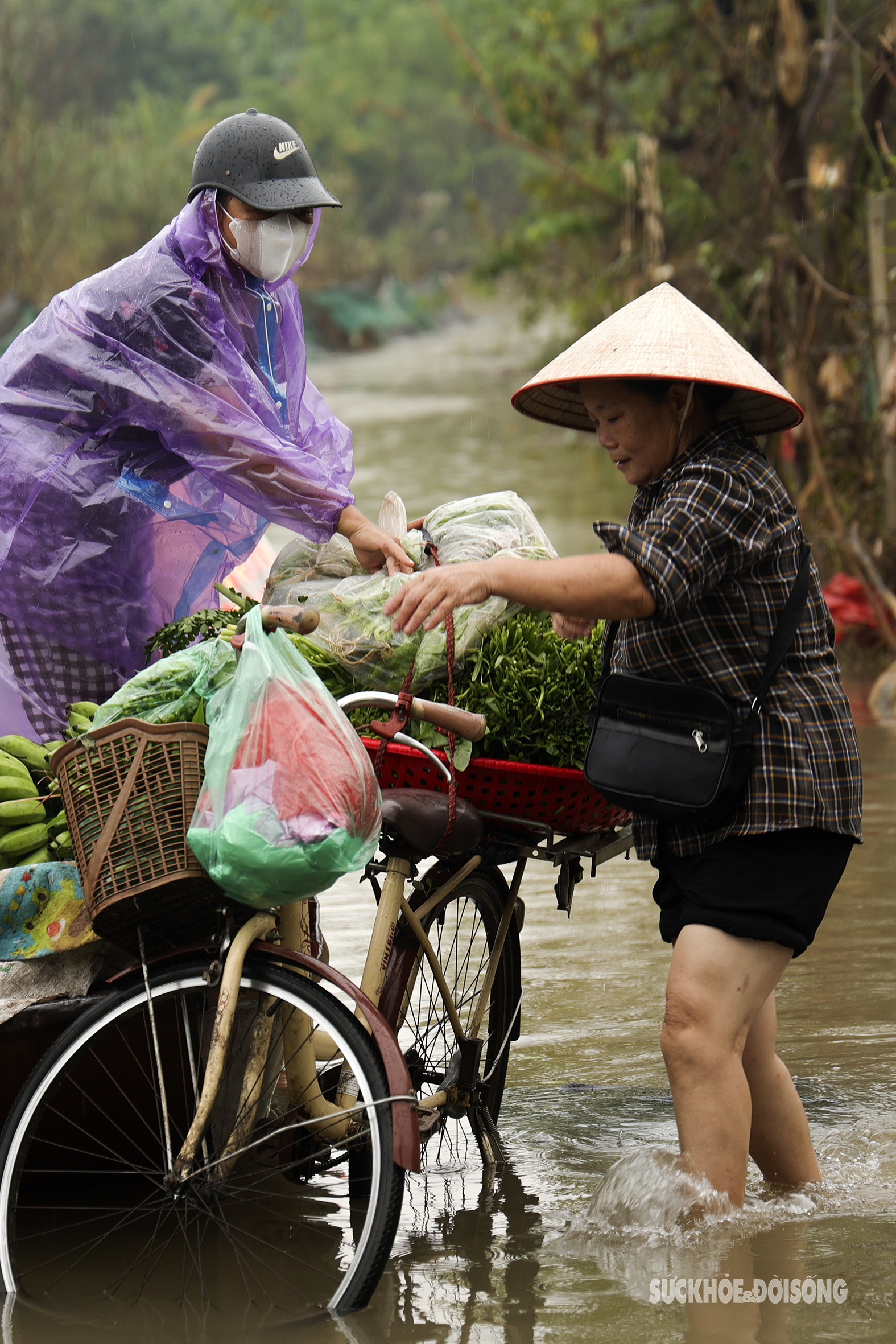 Nước sông Hồng dâng cao, người dân bãi giữa chèo thuyền đi học, đi làm  - Ảnh 2.