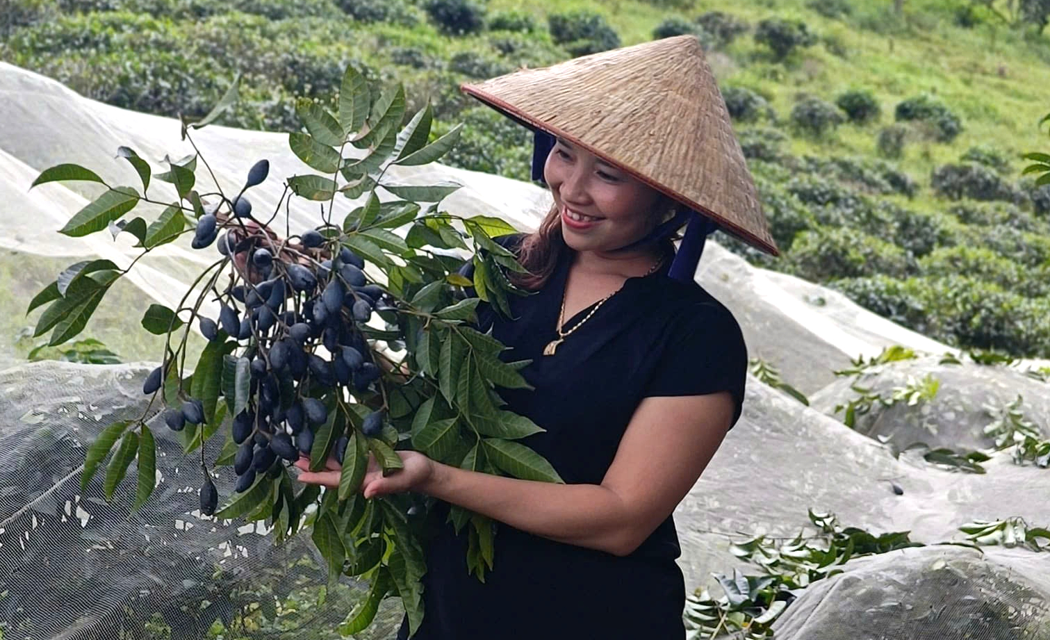 Nông dân Thanh Chương 'khóc ròng' vì loại quả được ví như ‘vàng đen’ mất mùa chưa từng có- Ảnh 4.