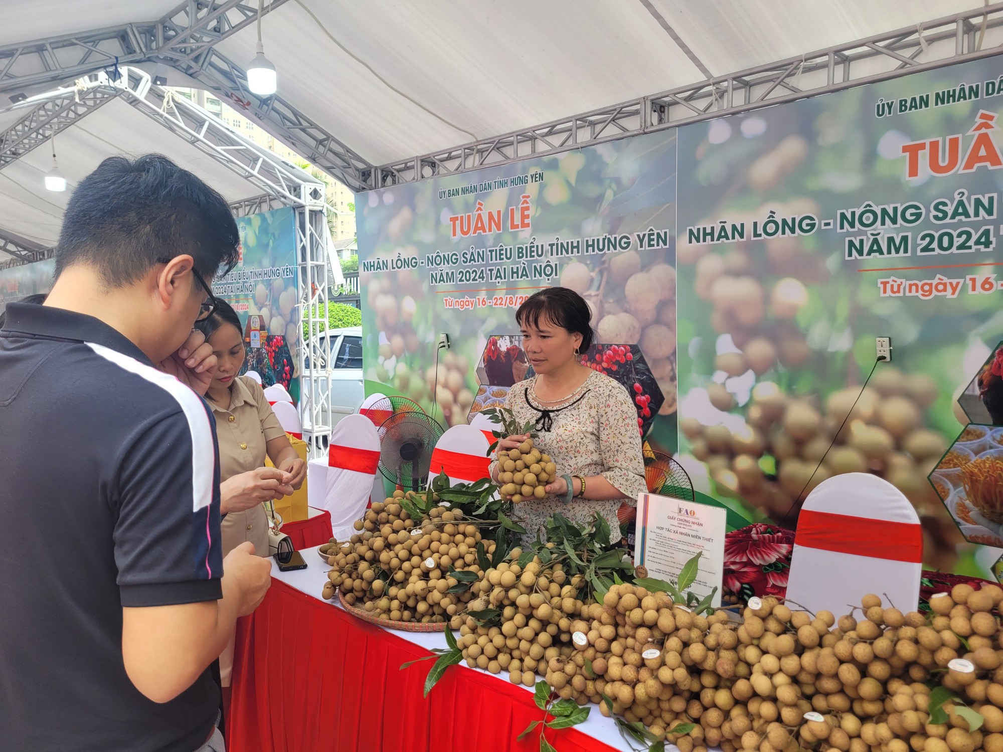 Đưa nhãn lồng Hưng Yên về Hà Nội với giá 'dùng thử', chưa đầy 30.000 đồng/kg, quả to tròn, mọng nước- Ảnh 1.