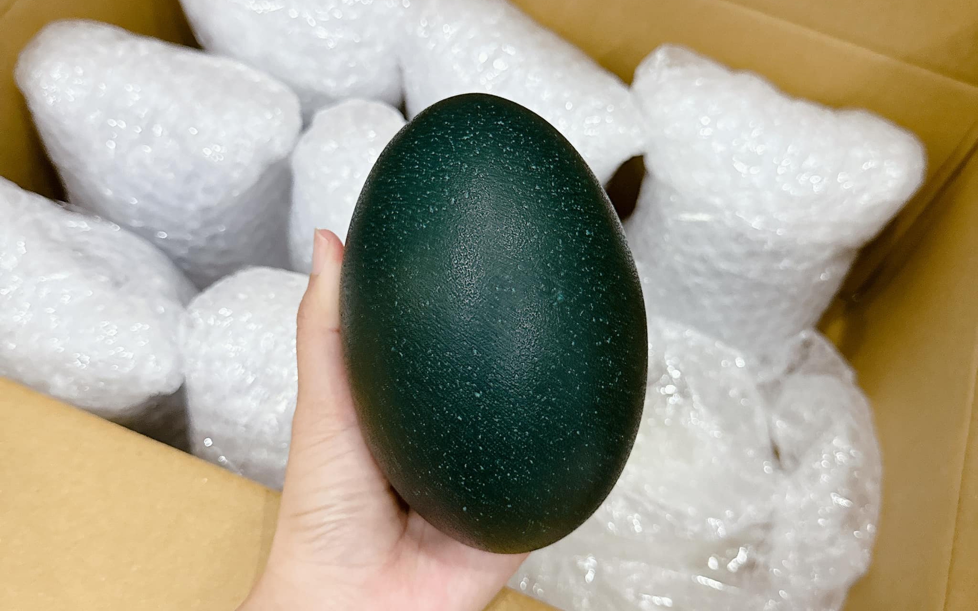 Trứng đà điểu Úc giá tiền triệu có thực sự 'đắt xắt ra miếng'?- Ảnh 3.