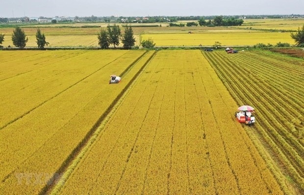 Bộ trưởng Lê Minh Hoan nêu loạt giải pháp để thích ứng với hạn hán, sạt lở, xâm nhập mặn tại ĐBSCL- Ảnh 2.