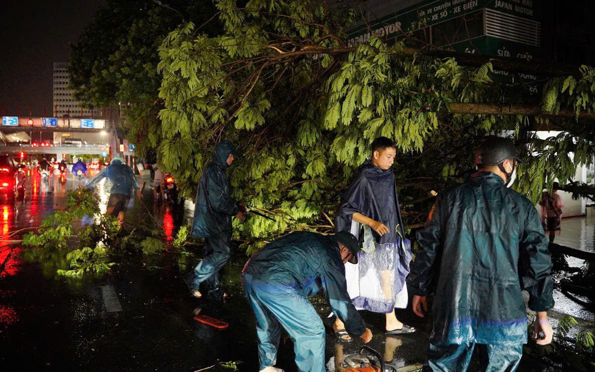 Hàng loạt cây xanh bật gốc, gãy đổ sau trận mưa lớn ở Hà Nội