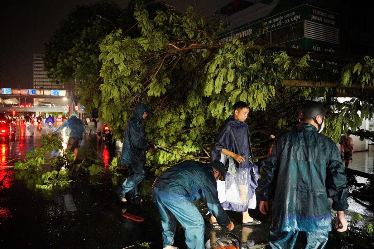 Hàng loạt cây xanh bật gốc, gãy đổ sau trận mưa lớn ở Hà Nội- Ảnh 10.