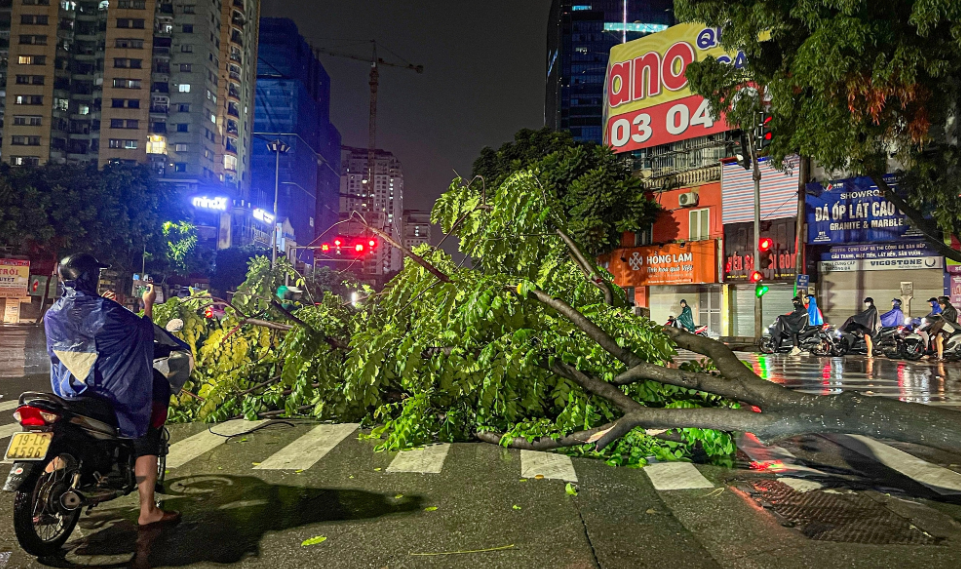 Hàng loạt cây xanh bật gốc, gãy đổ sau trận mưa lớn ở Hà Nội- Ảnh 9.