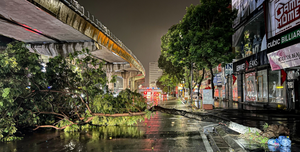 Hàng loạt cây xanh bật gốc, gãy đổ sau trận mưa lớn ở Hà Nội- Ảnh 3.