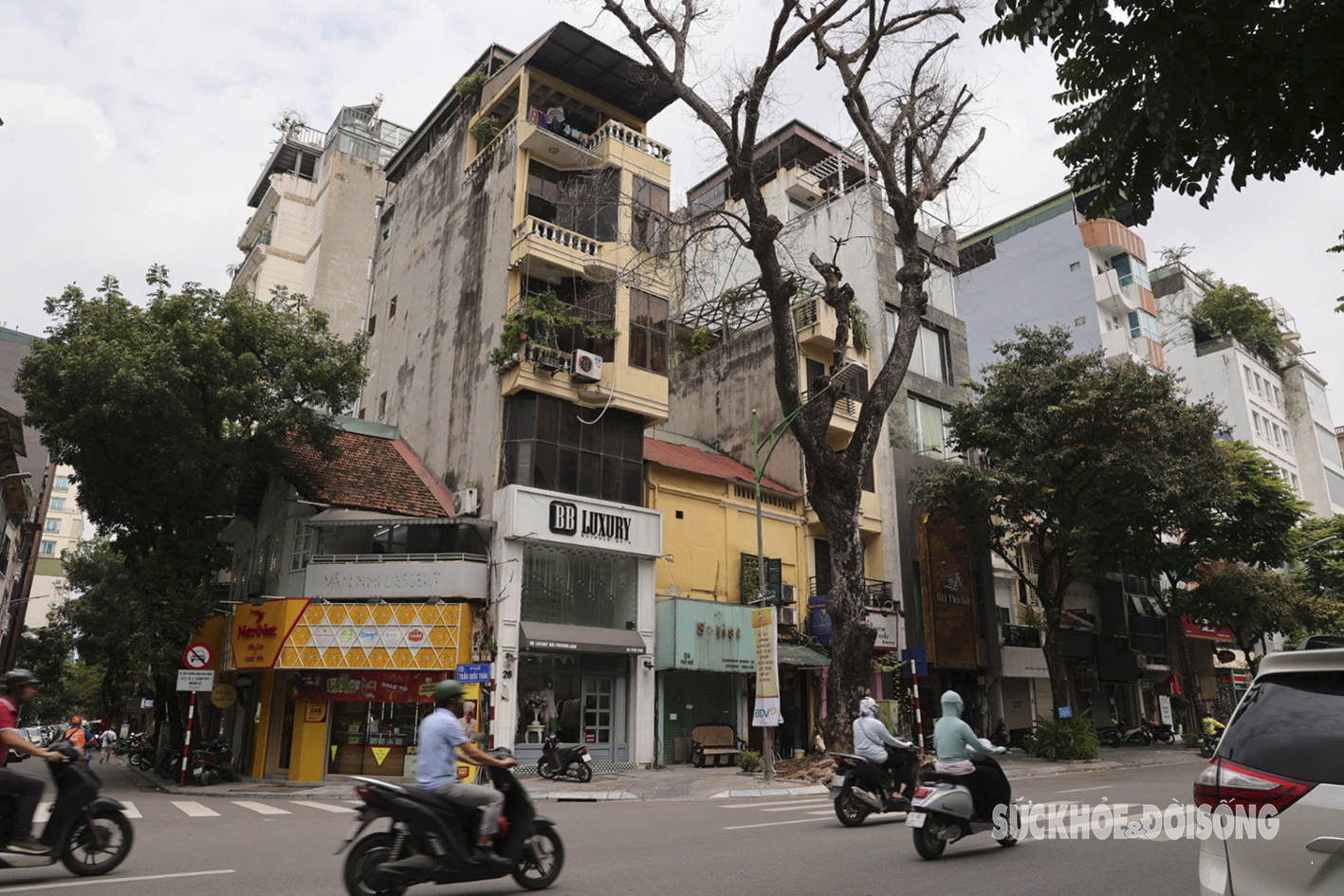 Hà Nội: Cây nghiêng ngả, chết khô trên nhiều tuyến phố- Ảnh 1.