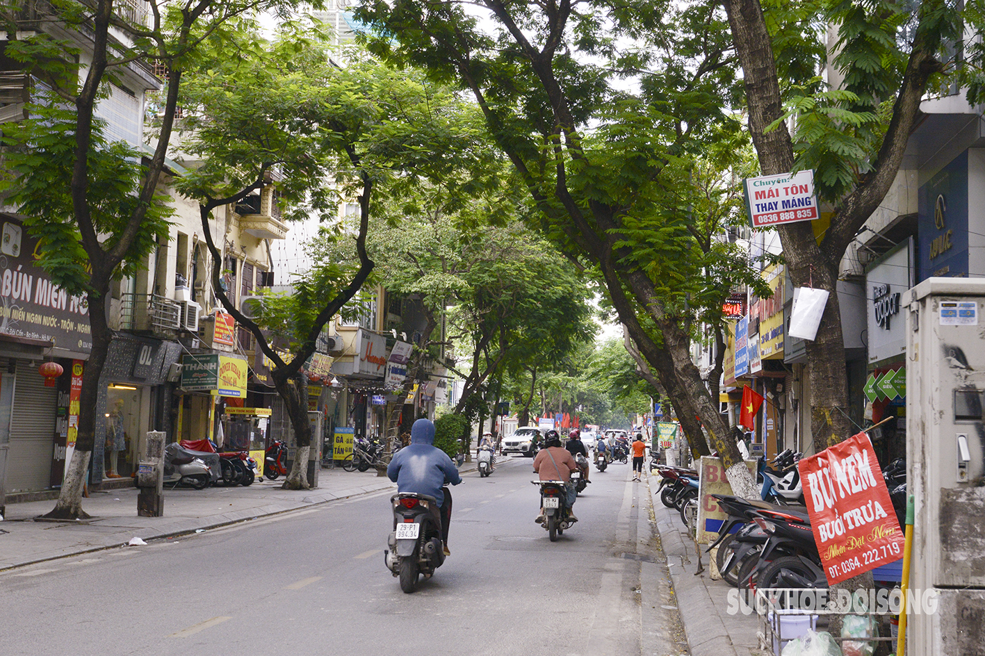 Hà Nội: Cây nghiêng ngả, chết khô trên nhiều tuyến phố- Ảnh 12.