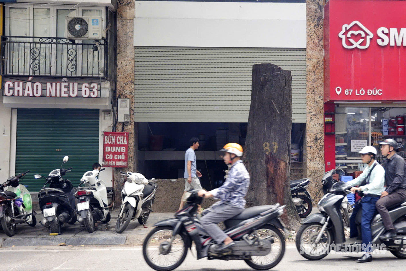 Hà Nội: Cây nghiêng ngả, chết khô trên nhiều tuyến phố- Ảnh 3.