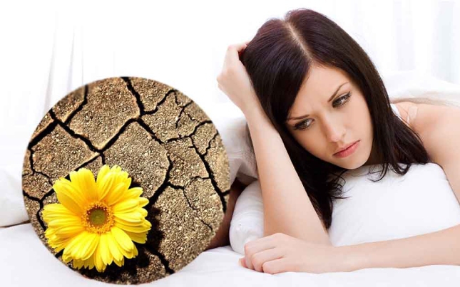 Ăn đậu nành giúp cải thiện khả năng tình dục ở phụ nữ mãn kinh- Ảnh 4.