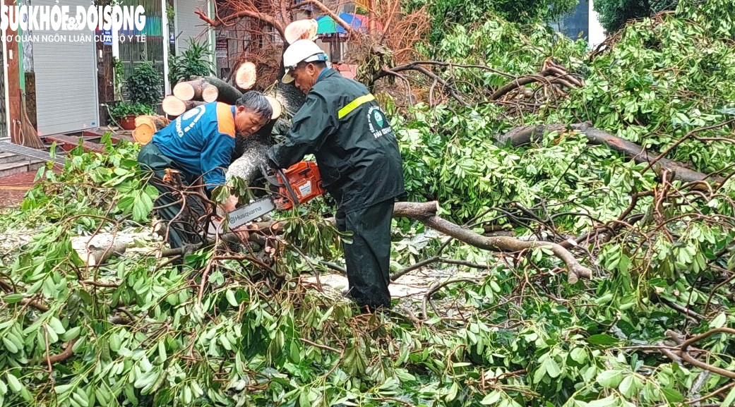 Tin đồn vỡ đê ở Hải Dương là sai sự thật- Ảnh 6.