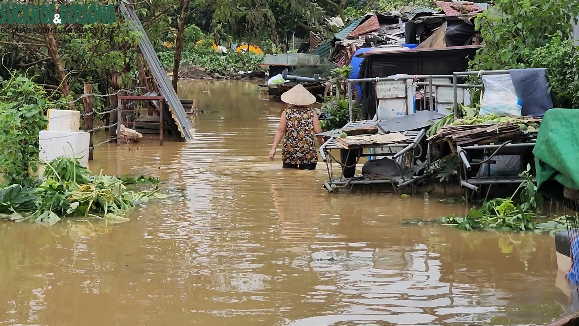 Người dân bãi giữa sông Hồng tất tả 'chạy' lũ- Ảnh 4.