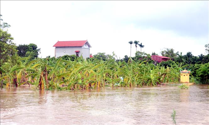 Hưng Yên phát lệnh báo động I trên tuyến đê tả sông Luộc, sông Hồng- Ảnh 3.