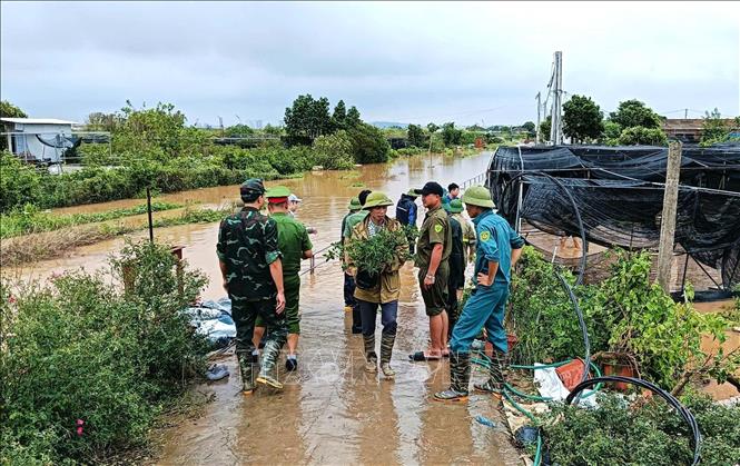 Sẵn sàng lực lượng, chủ động triển khai các phương án hộ đê- Ảnh 7.