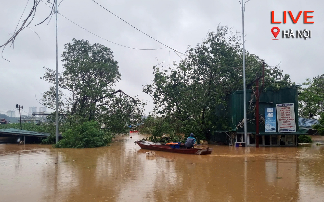 Nước sông Hồng dâng cao, người dân bãi giữa đưa gia cầm lên thuyền đi tránh lũ