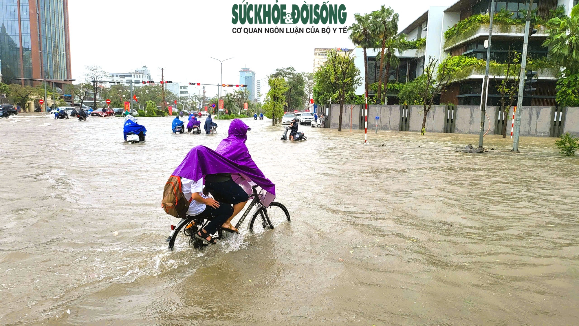 Hải Phòng: Cảnh báo lũ trên các sông vượt báo động 2, nhiều tuyến phố nội thành ngập - Ảnh 5.