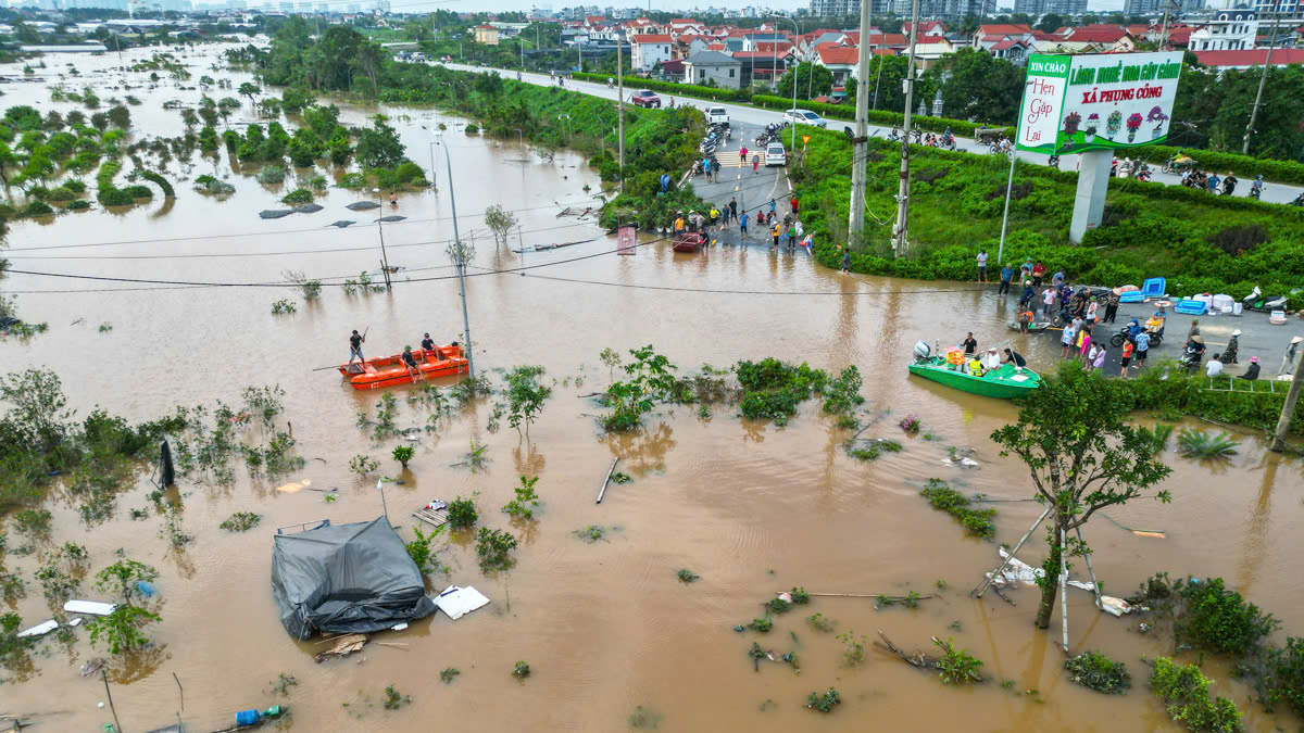 Làng cây cảnh Hưng Yên ngập sâu trong nước, người dân thiệt hại nhiều tỉ đồng- Ảnh 9.