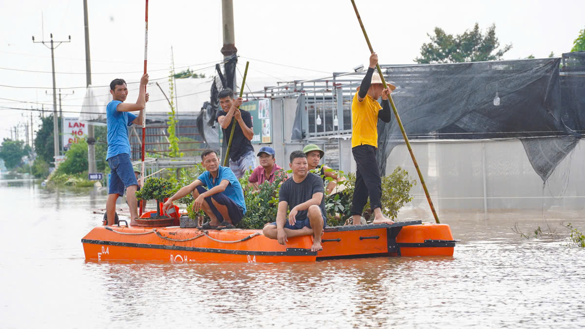 Làng cây cảnh Hưng Yên ngập sâu trong nước, người dân thiệt hại nhiều tỉ đồng- Ảnh 18.