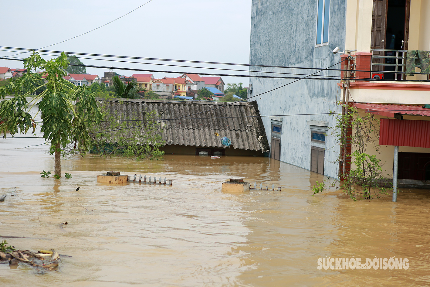 Xã ở Sóc Sơn chìm trong trong biển nước, người dân đưa gia cầm lên tầng ở tạm- Ảnh 6.