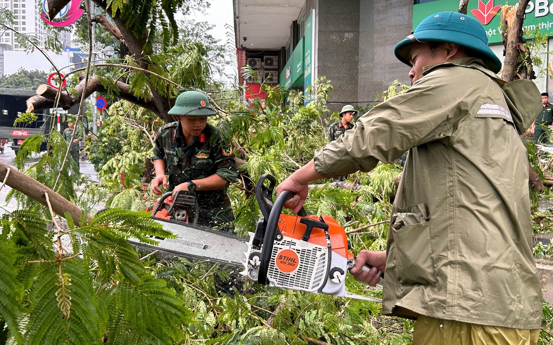 Hà Nội yêu cầu hoàn tất việc dọn dẹp cây xanh gãy, đổ trước ngày 20/9