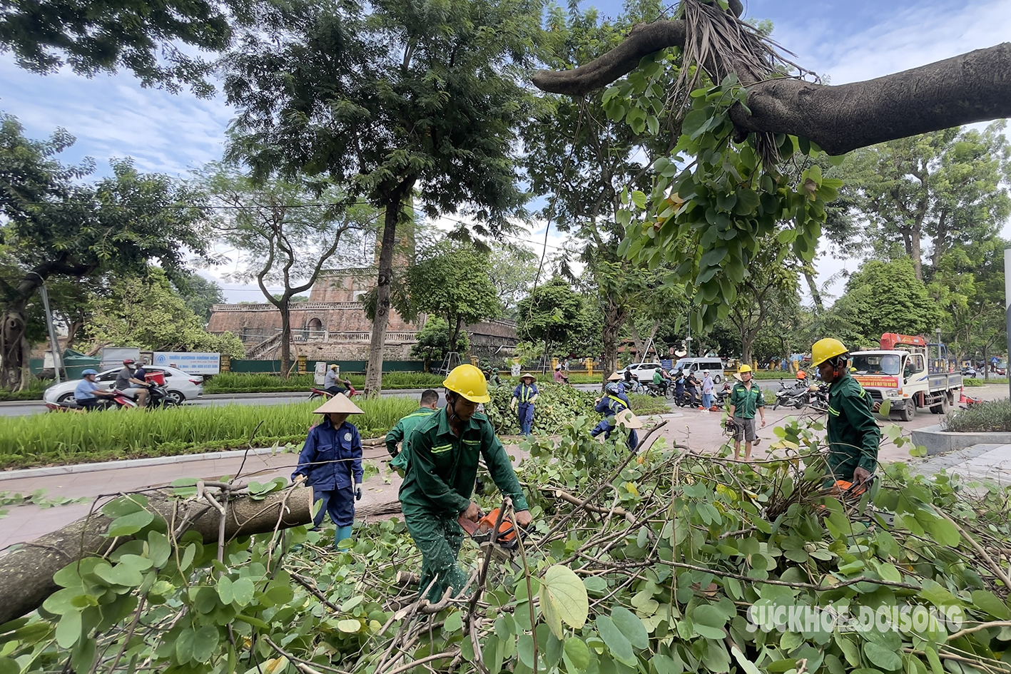 Công nhân các tỉnh thành hỗ trợ Hà Nội xử lý hàng nghìn cây xanh gãy đổ do bão Yagi- Ảnh 1.