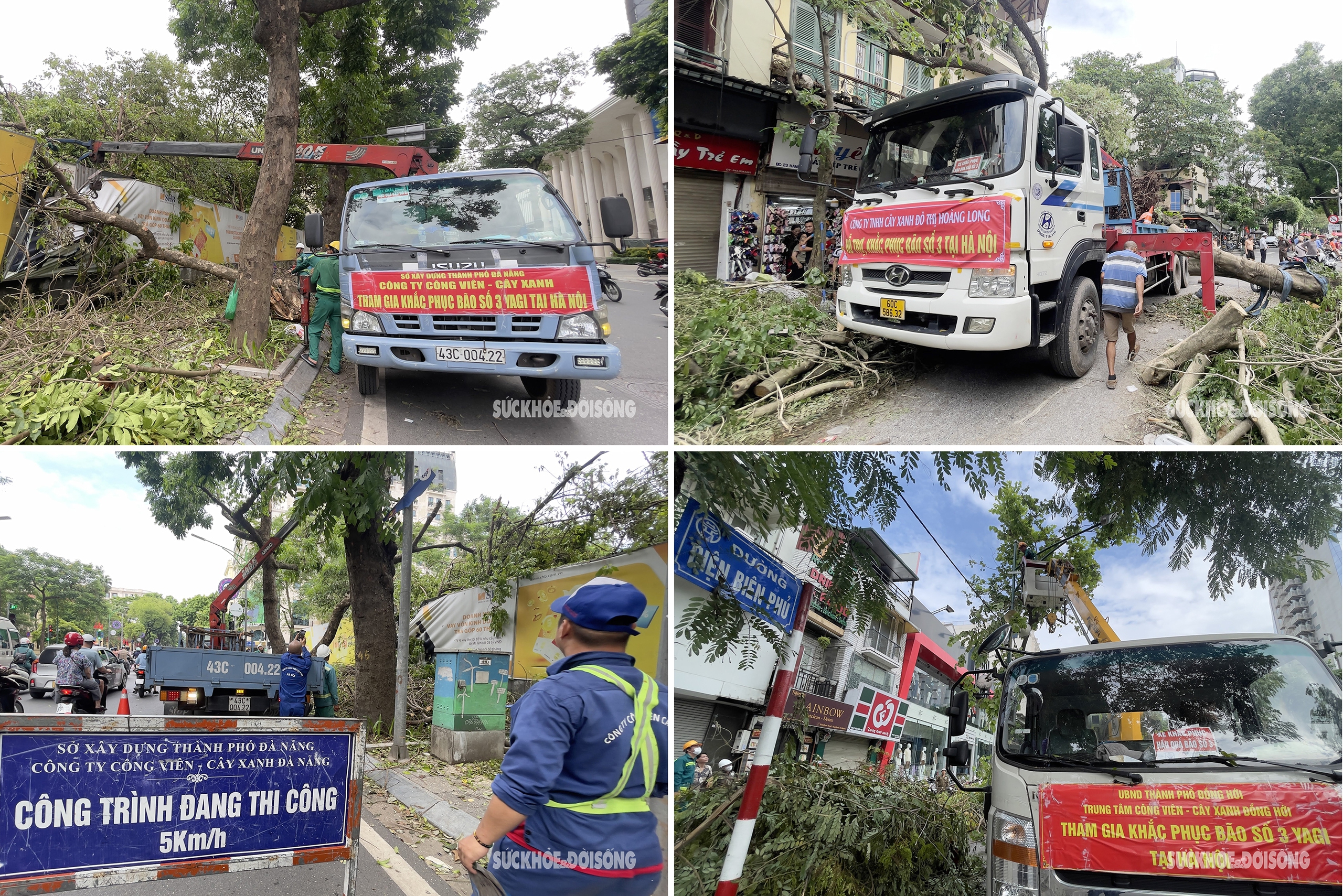 Công nhân các tỉnh thành hỗ trợ Hà Nội xử lý hàng nghìn cây xanh gãy đổ do bão Yagi- Ảnh 3.