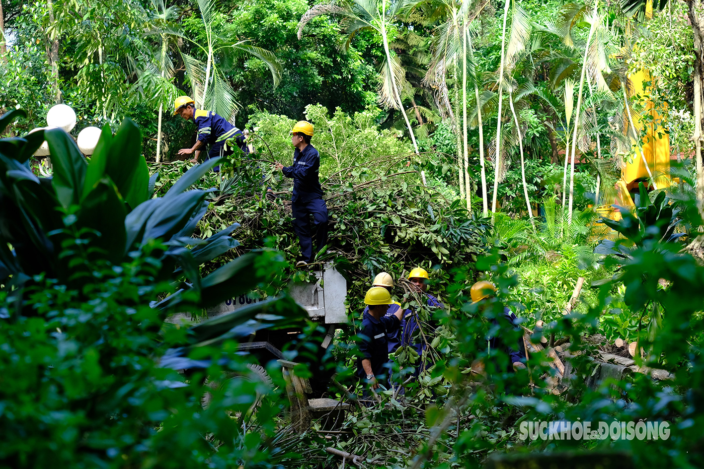 Công nhân các tỉnh thành hỗ trợ Hà Nội xử lý hàng nghìn cây xanh gãy đổ do bão Yagi- Ảnh 2.