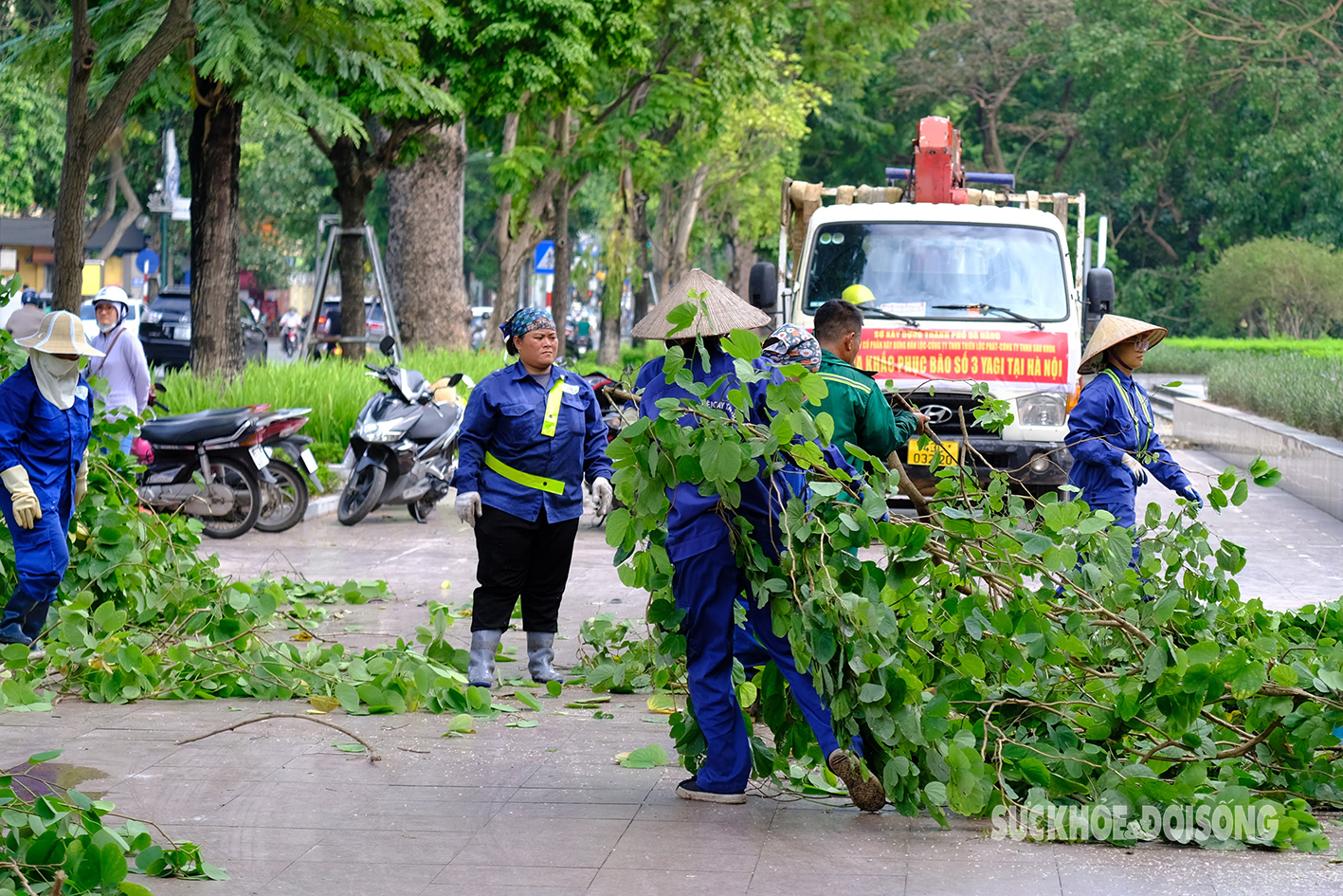 Công nhân các tỉnh thành hỗ trợ Hà Nội xử lý hàng nghìn cây xanh gãy đổ do bão Yagi- Ảnh 12.