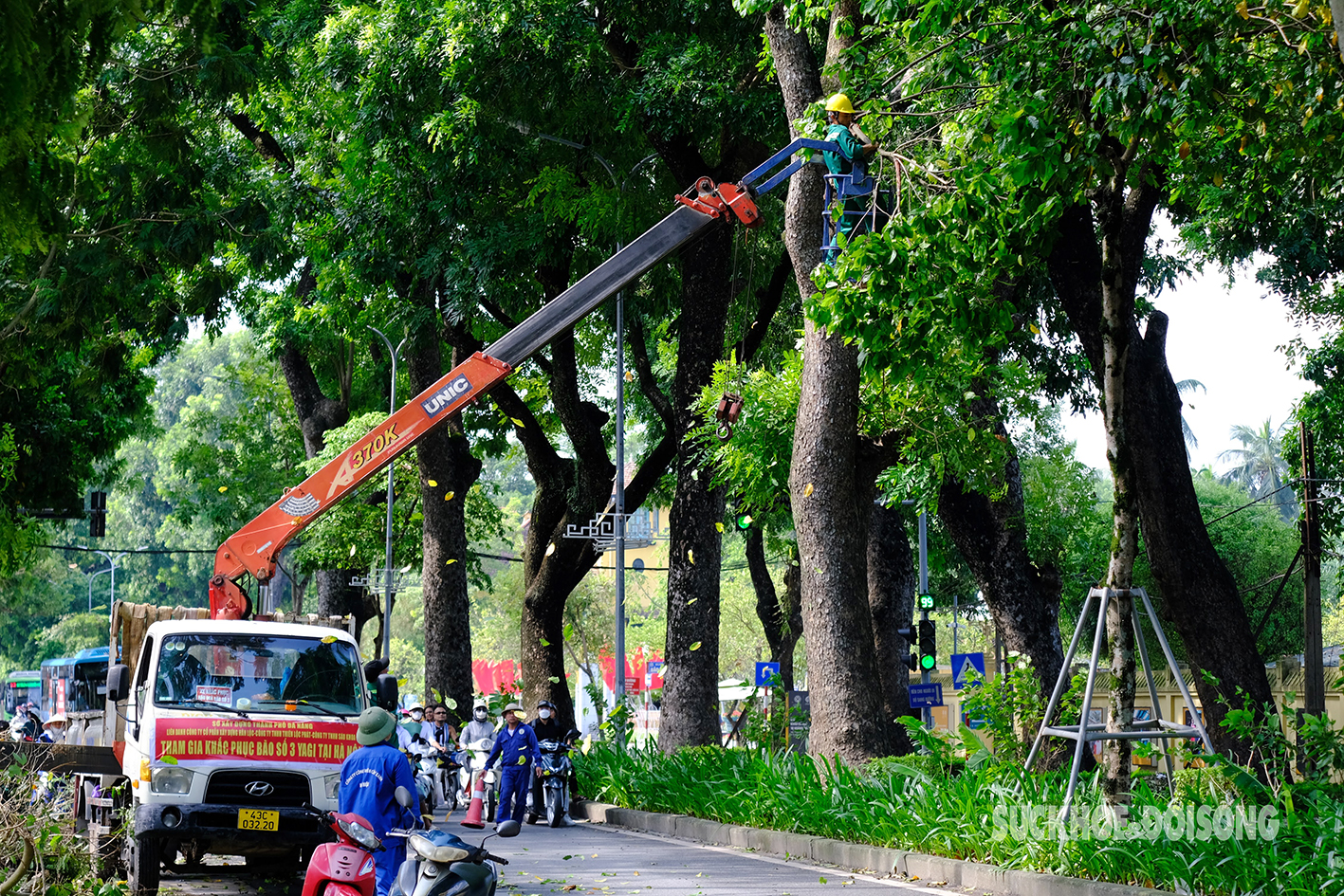 Công nhân các tỉnh thành hỗ trợ Hà Nội xử lý hàng nghìn cây xanh gãy đổ do bão Yagi- Ảnh 4.