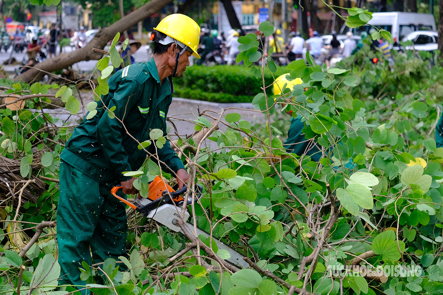 Công nhân các tỉnh thành hỗ trợ Hà Nội xử lý hàng nghìn cây xanh gãy đổ do bão Yagi- Ảnh 6.