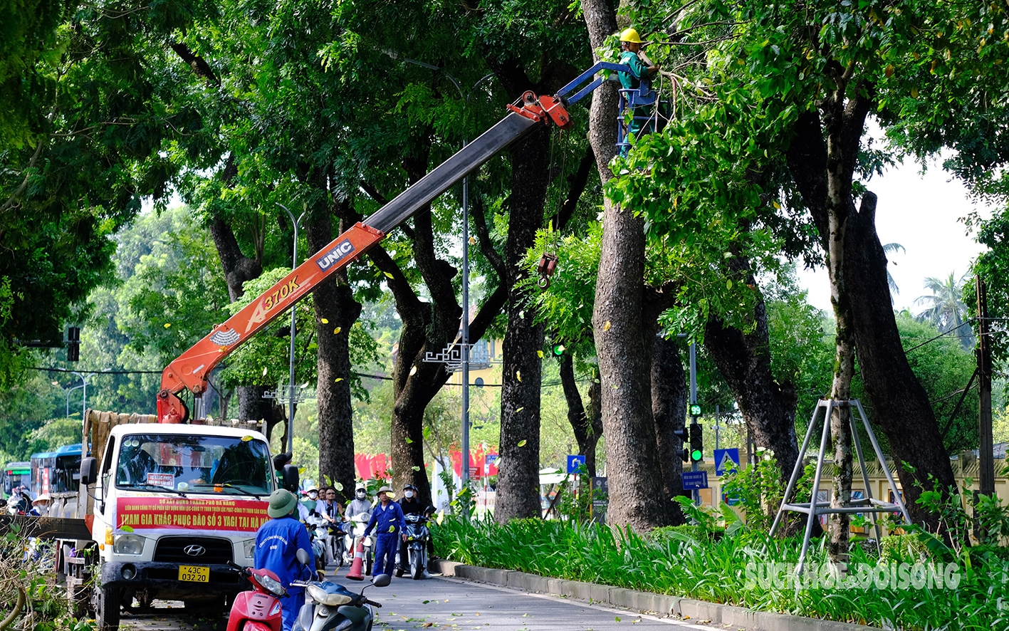 Công nhân các tỉnh thành hỗ trợ Hà Nội xử lý hàng nghìn cây xanh gãy đổ do bão Yagi