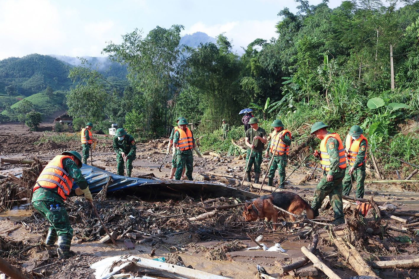 ‘Vũ khí đặc biệt’ tham gia tìm kiếm cứu nạn tại Làng Nủ- Ảnh 11.