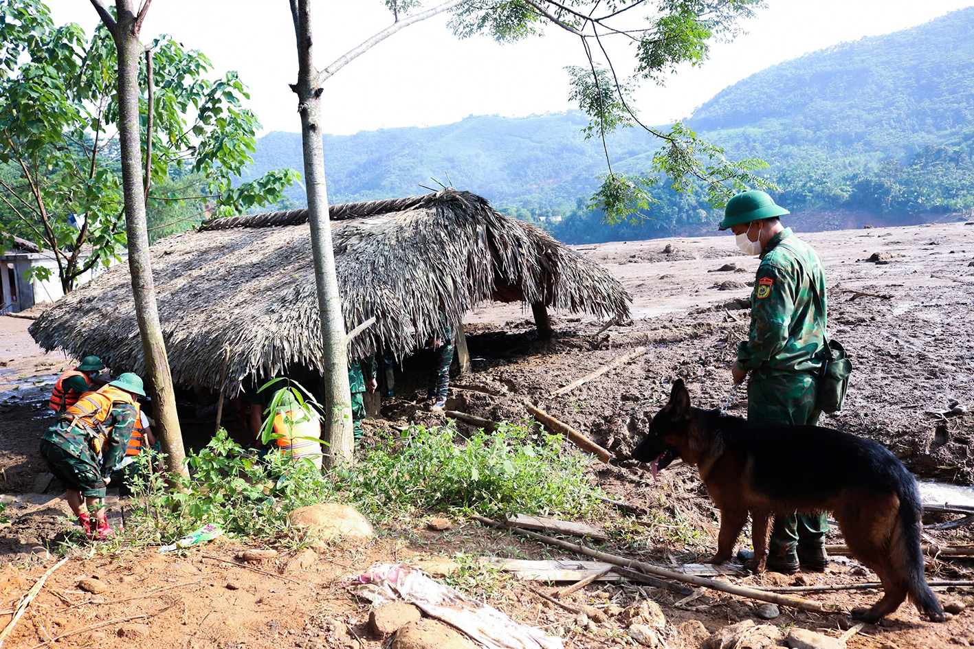 ‘Vũ khí đặc biệt’ tham gia tìm kiếm cứu nạn tại Làng Nủ- Ảnh 3.