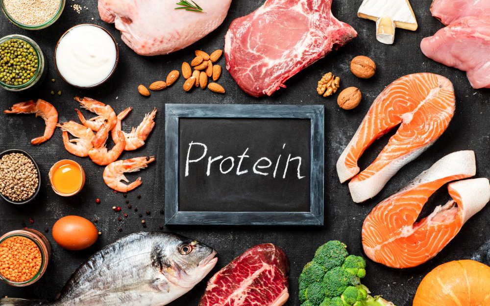 Cơ thể cần bao nhiêu protein là đủ?