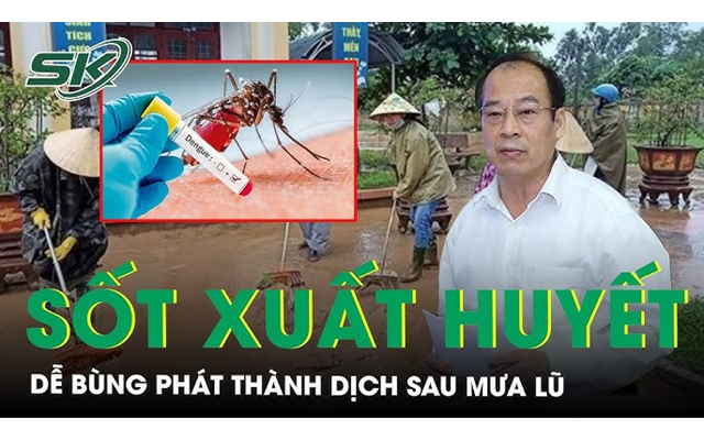 Cảnh báo dễ bùng dịch sốt xuất huyết sau mưa lũ và cách phòng tránh