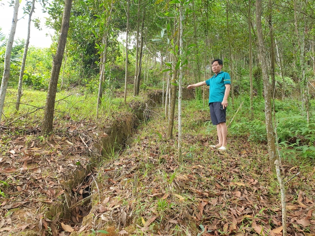 Trưởng phòng nông nghiệp huyện nói gì khi gia đình không sơ tán khỏi khu vực sạt lở?- Ảnh 3.