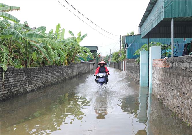 Cập nhật thiệt hại ban đầu do bão số 4