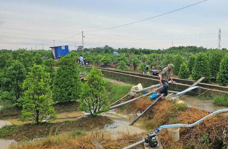 Sau bão số 3: Các địa phương tập trung tái thiết sản xuất, kinh doanh như thế nào?- Ảnh 1.