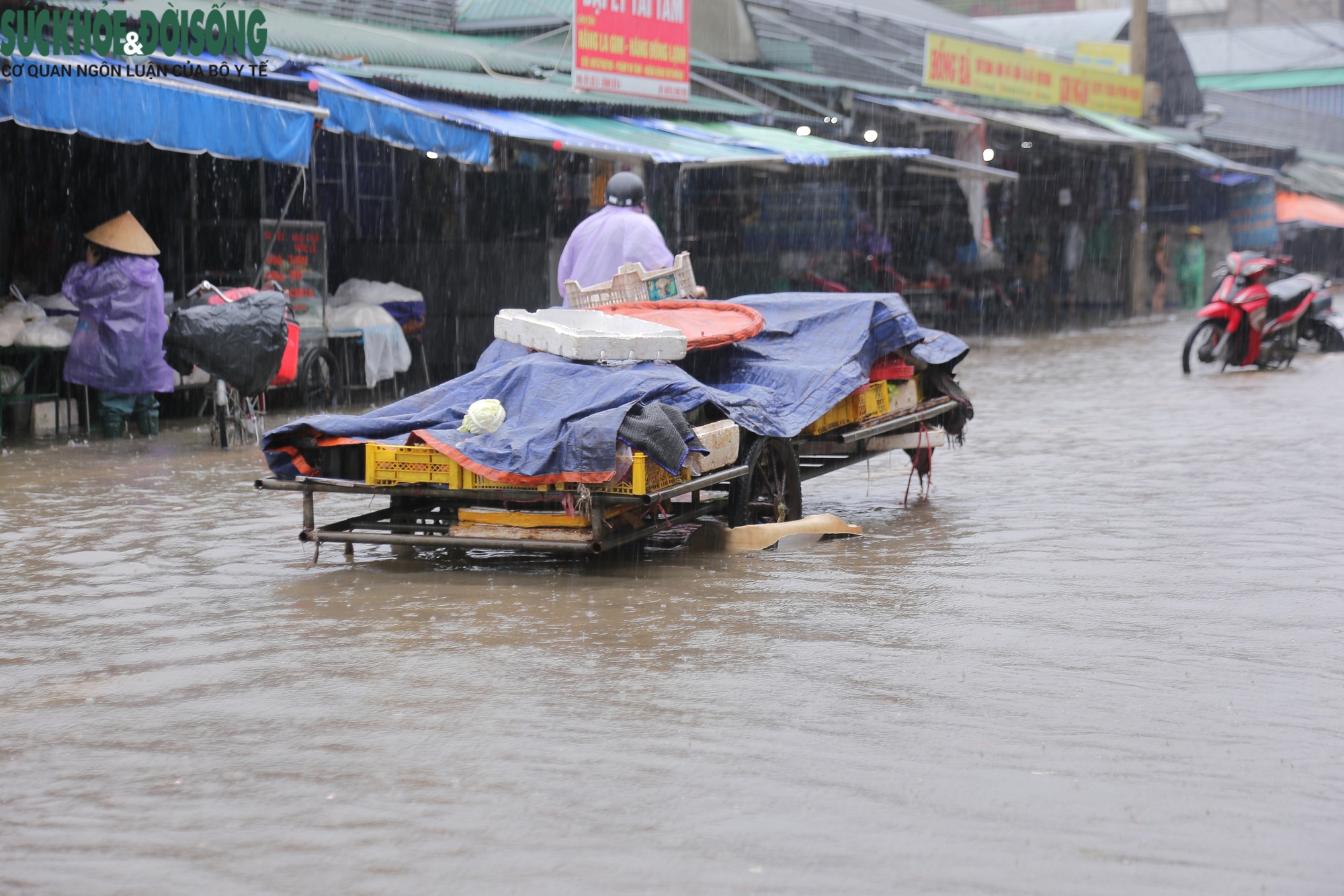 Nước dâng cao gây ngập sâu, tiểu thương chợ Vinh tất tả 'chạy đồ' lên cao- Ảnh 5.