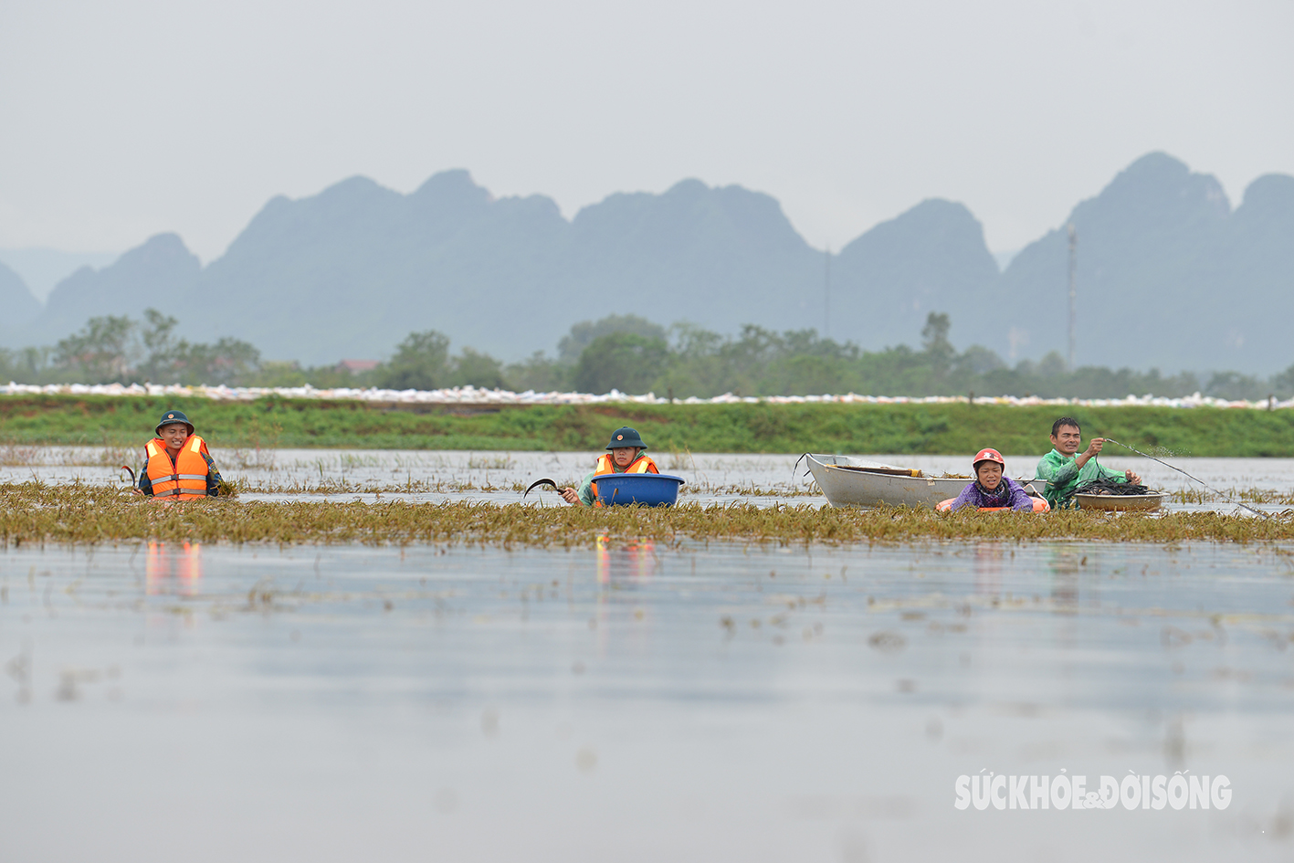 Bộ đội ngâm mình trong nước lũ hỗ trợ nông dân Chương Mỹ gặt lúa- Ảnh 9.