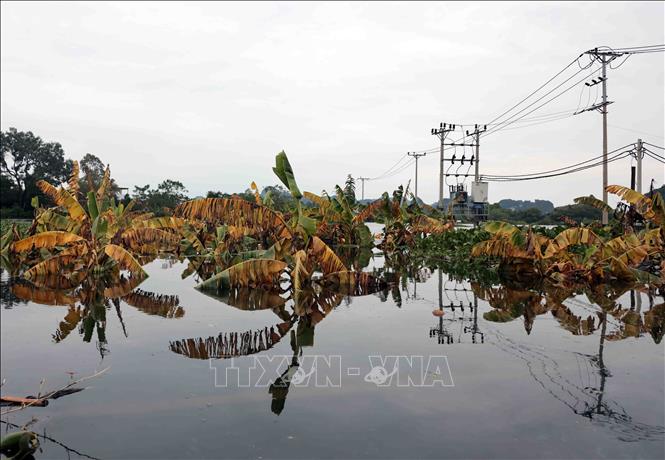 Nước vẫn ngập sâu, đời sống người dân nhiều nơi ở Mỹ Đức (Hà Nội) gặp khó khăn- Ảnh 9.