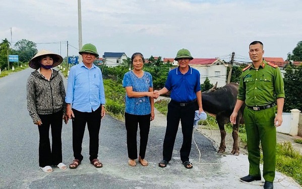 ‘Đầu cơ nghiệp’ bị lũ cuốn trôi từ Phú Thọ về Hà Nội, người nuôi trâu xúc động vì được nhận lại