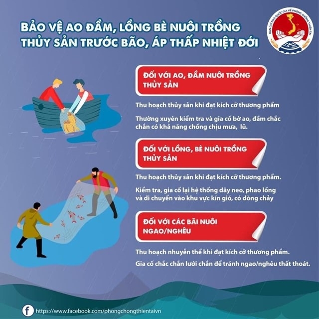 [Infographic] Những việc người dân cần làm trước, trong và sau bão- Ảnh 3.