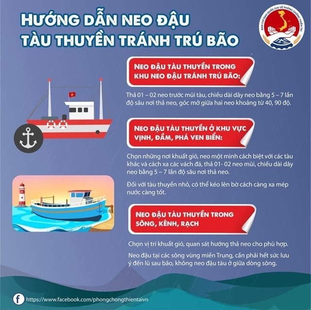 [Infographic] Những việc người dân cần làm trước, trong và sau bão- Ảnh 4.