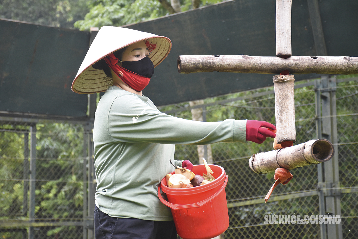 Những chú gấu tinh nghịch trong 'ngôi nhà an toàn’ lớn nhất Việt Nam- Ảnh 5.