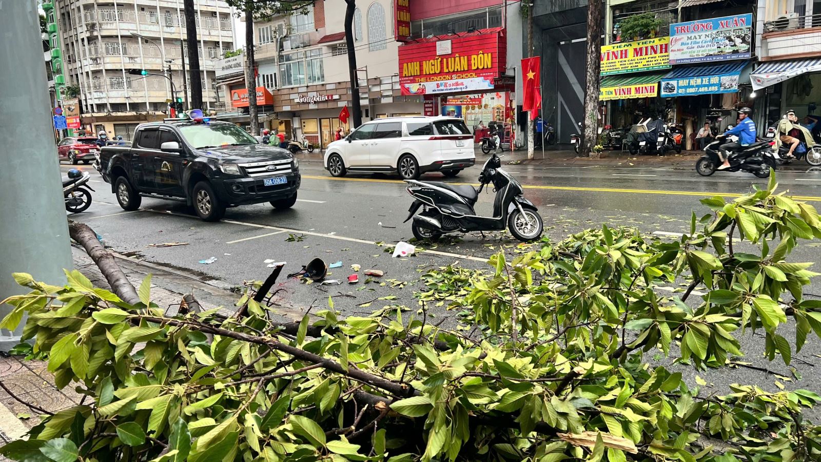 TP Hồ Chí Minh: Một người tử vong do nhánh cây xanh gãy trong mưa lớn- Ảnh 1.